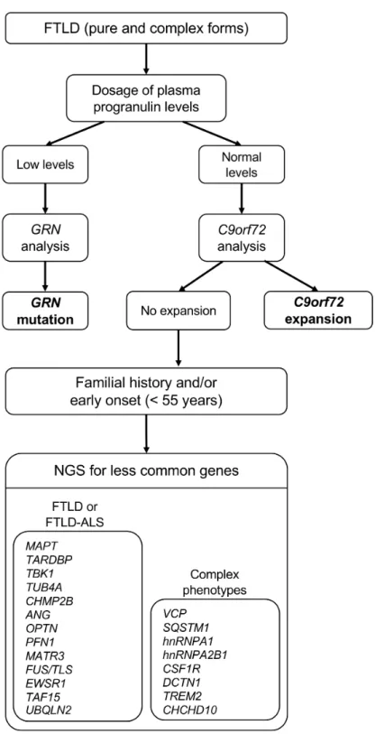 Figure 3. Optimal diagnostic algorithm for genetic diagnosis in FTLD, including major  and less common genes