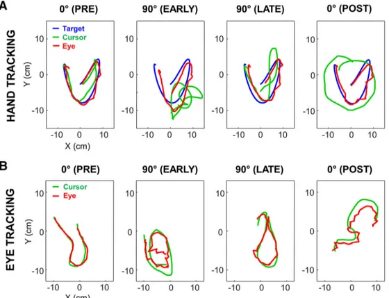 Figure 5 plots representative trials collected from two naive participants in each task at various stages of  expo-sure