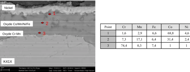 Figure 28 : Micrographie MEB et analyse EDS de la coupe d’un échantillon                    