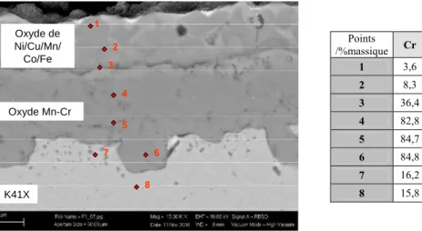 Figure 30 : Micrographie MEB et analyses EDS de la coupe d’un échantillon                      