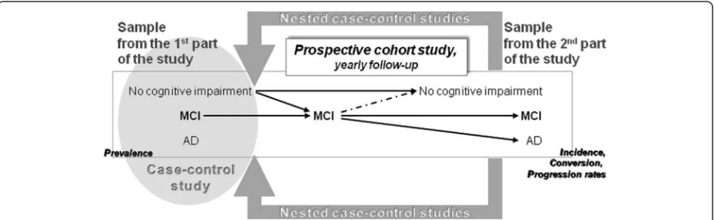 Figure 2 Conduct of the study. CC: cognitive complaint, CI: cognitive impairment.