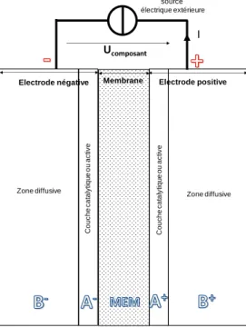 Figure I-1 : Schéma de la structure interne typique d’une cellule d’un composant de  type PEM 