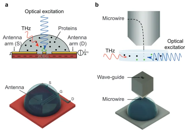 Figure 5: THz-spectroscopy experimental setups. (a) Rectenna for the 0.07 to 0.11 THz band;