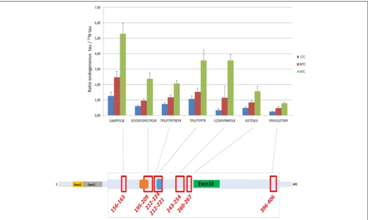 FIGURE 4 | Ratio endogenous tau/ 15 N tau in the three CSF pools (LTC, MTC, and HTC) for the 7 peptides