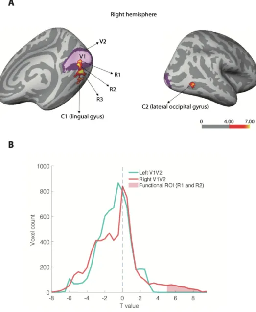 Fig. 2. A) Group level retinotopic activa- activa-tion in early visual areas of the right  hemi-sphere