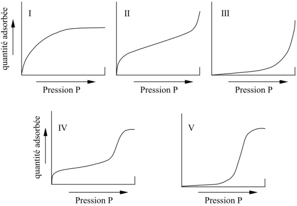 Figure 1.2 : Les cinq types d’isothermes d’adsorption selon la classification BDDT  
