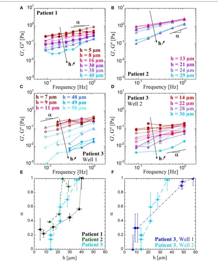 FIGURE 3 | Variation of the microrheology response with the distance to the epithelium: The elastic G ′ (filled symbols and solid lines) and loss G ′′ (empty symbols and dotted lines) moduli are represented as a function of the frequency f in panels (A–D)