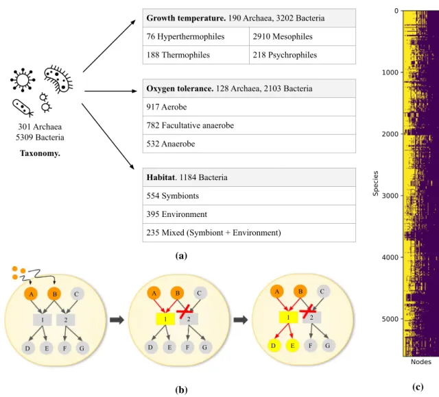 Figure 1.  (a) Data description. (b) Concept of scope of a metabolic network. Letters are metabolites and  numbers are reactions