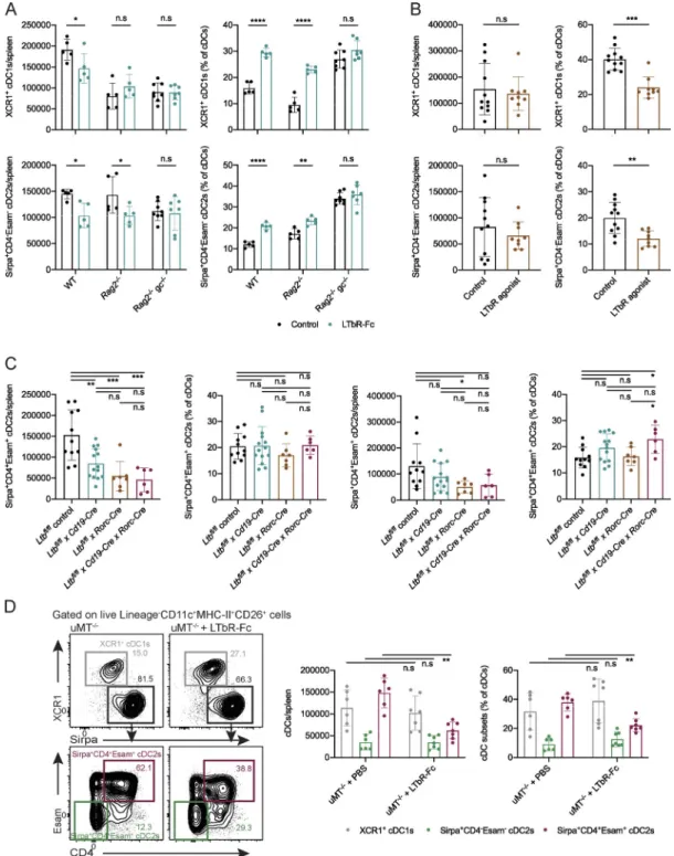 Figure S3. XCR1 + cDC1s and Sirpα + CD4 − Esam − cDC2s are minimally affected by manipulation of the LTα 1 β 2 pathway