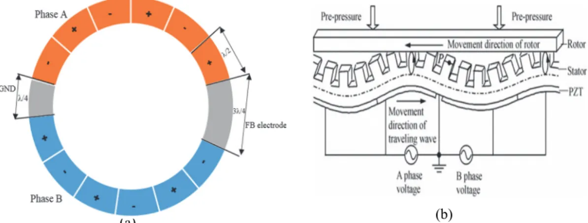 Fig. III-2. (a) Polarization of the piezo-ceramic ring , (b) Driving mechanism of TWUSM [42]