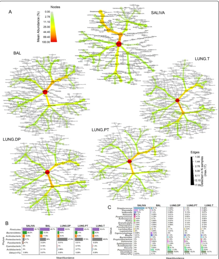 Fig. 2 Relative abundance and prevalence of the four lung and salivary microbiota. a Each tree represents the taxonomical composition of one sample type