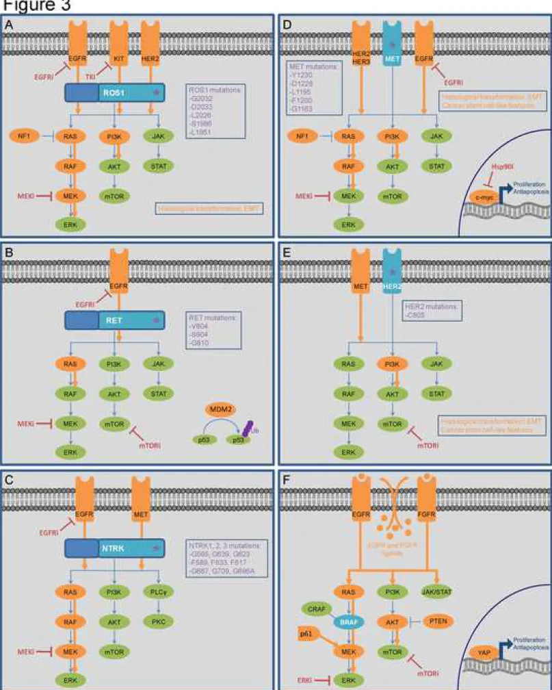 Figure 3 Click here to access/download;Figure;Figure 3.tif