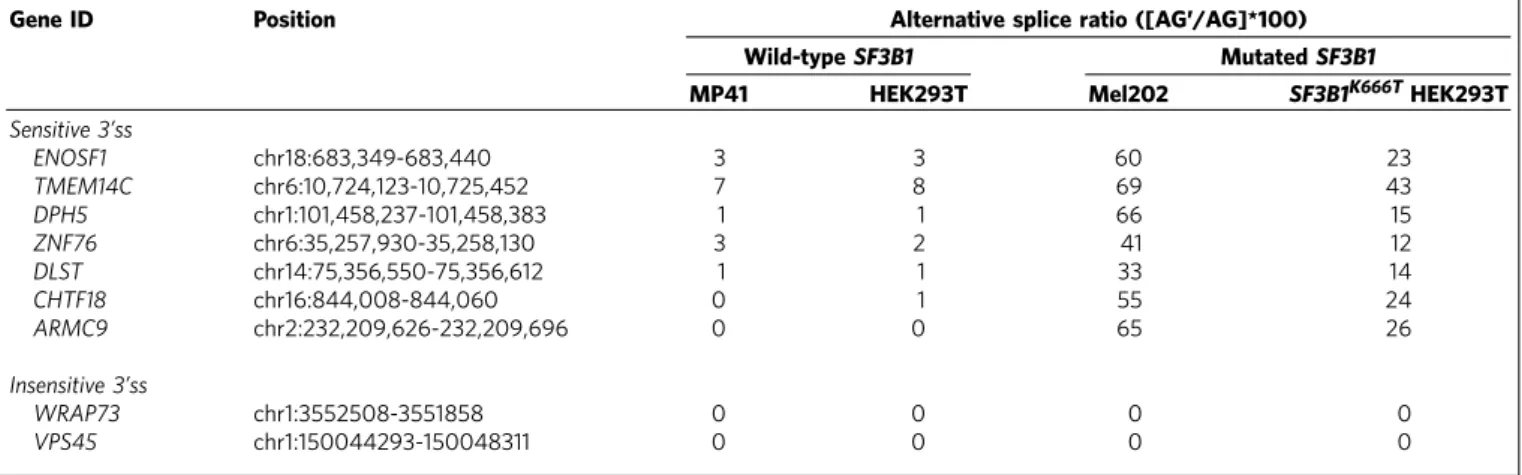 Table 1). Regions containing the selected 3 0 ss were cloned into an ExonTrap vector and expressed into human cell lines with different SF3B1 status: 2 UM cell lines, MP41 (SF3B1 WT ) and Mel202 (SF3B1 R625G ; Supplementary Figs 2 and 3)