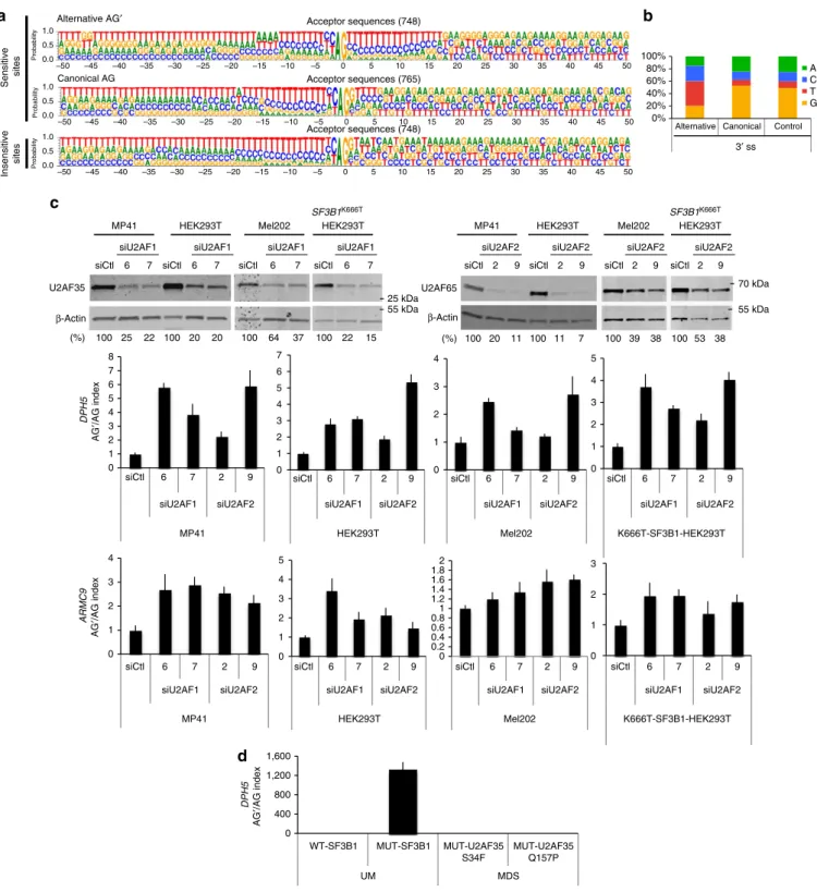 Figure 4 | Characterization of alternative 3 0 ss (AG’) sequences. (a) Comparison of sequence logos of 3 0 ss sensitive to SF3B1 status with canonical (AG) and alternative (AG’) sequences and 3 0 ss insensitive to SF3B1 status