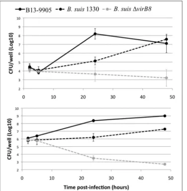 FIGURE 7 | Quantification of infection rate by flow cytometry. HeLa cells were infected by mCherry-expressing bacteria, detached, and fixed 24 hpi and analyzed by flow cytometry