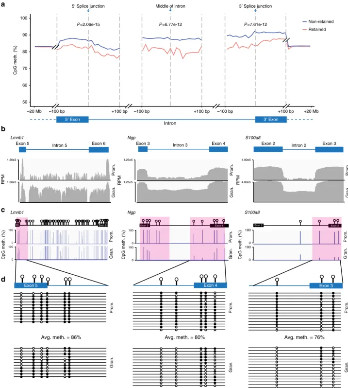 Figure 1 | IR in myeloid cells is associated with lower DNA methylation levels near splice junctions and within retained introns