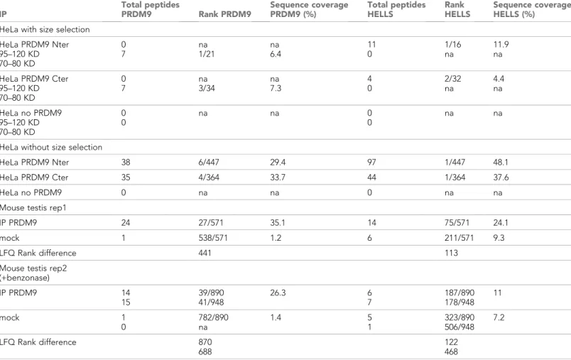 Table 1. HELLS is co-immunoprecipitated with PRDM9.