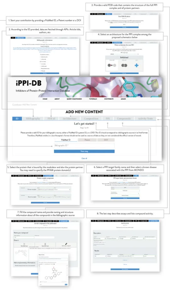 Fig. 3. iPPI-DB contribution mode page (https://ippidb.pasteur.fr/contribute)—during the process the contributor: (1) provides the bibliographic identifier of the publication he will describe (Pubmed ID, DOI, Patent ID); (2) confirms the fetched publicatio
