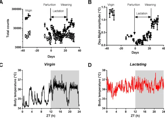 Fig 1. Longitudinal telemetric monitoring of locomotor activity and body temperature in female mice.