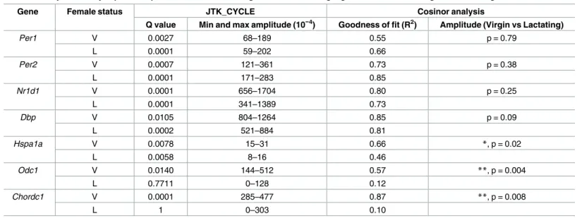Table 1. Analysis of daily expression patterns of clock-related genes and HSF1-target genes in the SCN of virgin and lactating mice.