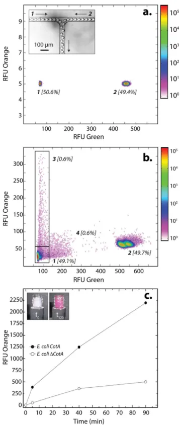 Fig. 2 E. coli CotA vs. E. coli DCotA laccase activity in droplets. (a) 2D contour plot representing the green ﬂ uorescence (corresponding to barcode) and the orange ﬂ uorescence (corresponding to the CotA laccase activity) of two populations of 14 pL drop