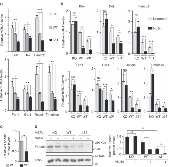 Figure 1 | p53 activation leads to the downregulation of seven telomere-related genes