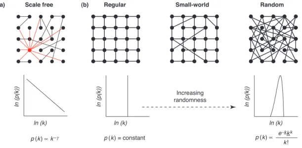 Figure I. The two main network topologies commonly found in biological systems are (a) scale-free and (b) small-world