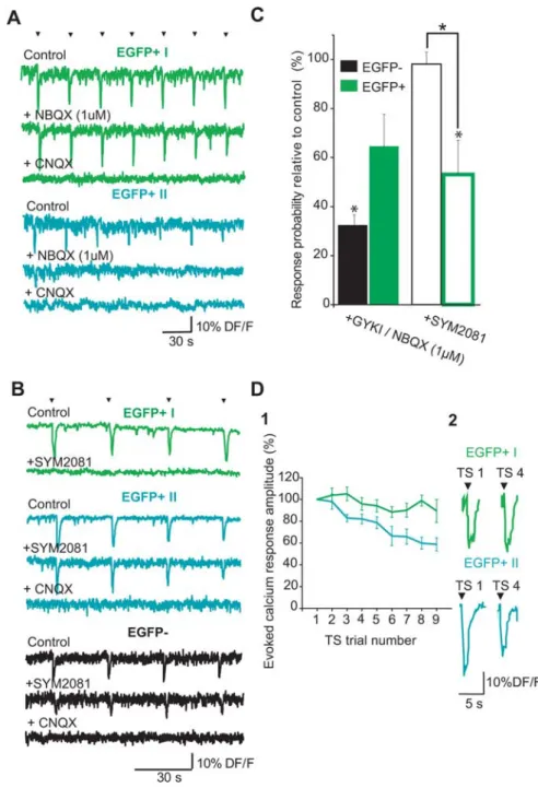 Figure 4. A selective processing of theta stimulation influx via KA-Rs in a subpopulation of EGFP ⫹ cells
