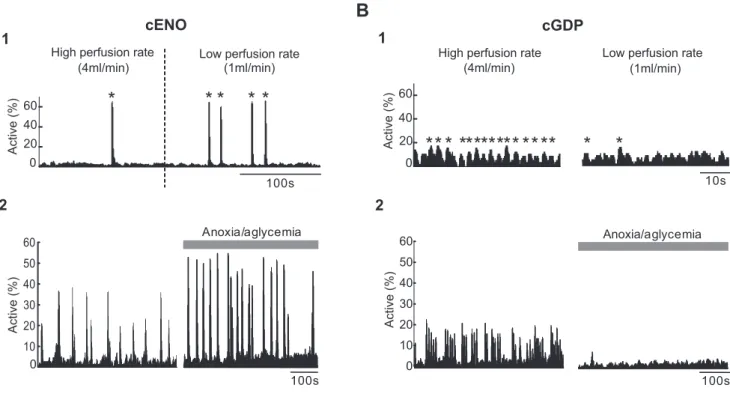 Figure 6. Perfusion rate and anoxic/aglycemic episodes differentially affect cENOs and cGDPs.A1, Histograms indicating the fraction of imaged cells detected as being active for each movie frame as a function of time in a P2 somatosensory horizontal slice