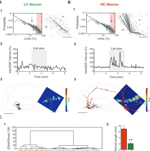 Fig. 2. Stimulation of HC but not LC neurons affects network dynamics. (A) Data from a representative LC interneuron