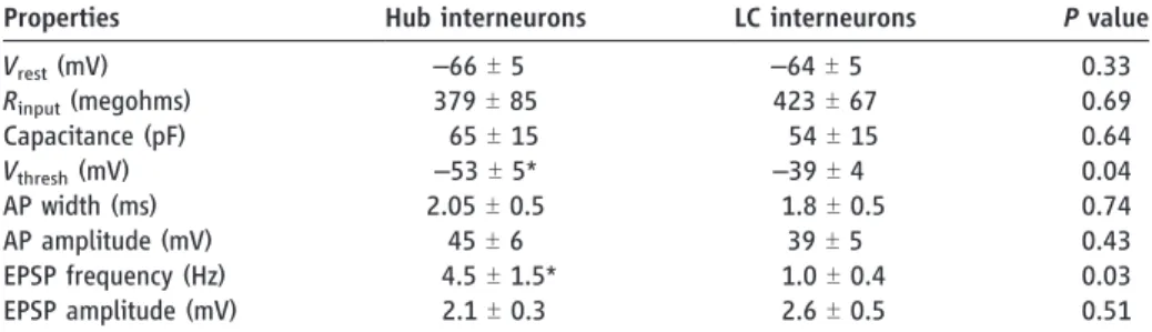 Table 1. Comparison of basic electrophysiological properties of hub neurons and LC interneurons.
