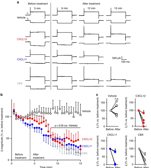 Fig. 3 ACKR3 stimulation impairs gap junctional electrical coupling between astrocytes