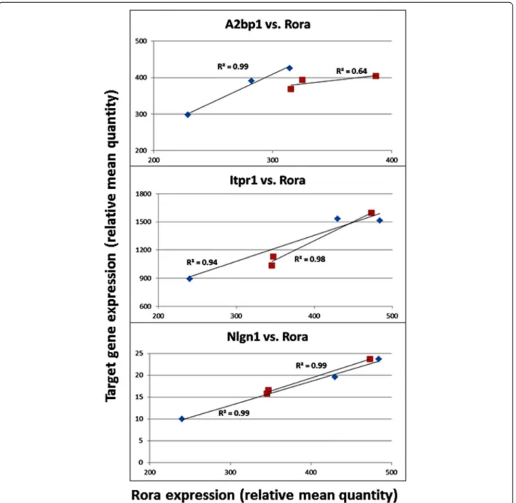 Figure 7 Correlation between target gene expression and that of Rora in the cerebellum of mice