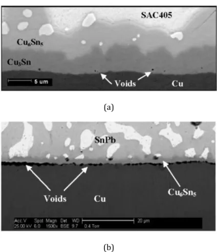 Fig. I-6 : Formation de void Kirkendall dans le cas de la brasure SAC 405 (a) et SnPb (b) [87] 