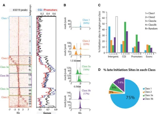 Figure 1. Three classes of replication origins. (A) Clustering of origins based on read densities around peaks