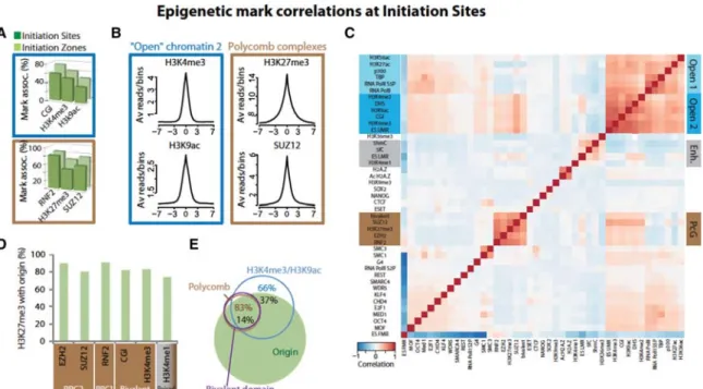 Figure 2. Epigenetic marks and chromatin environment at IS. (A,B) Specific chromatin marks/factors associated with open chromatin-2 (blue boxes) and Polycomb complexes (brown boxes) at initiation sites
