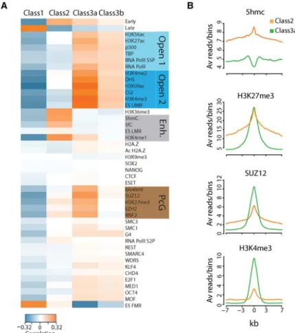Figure 4. Origin classes are linked to specific chromatin signatures. (A) Association of chromatin marks/