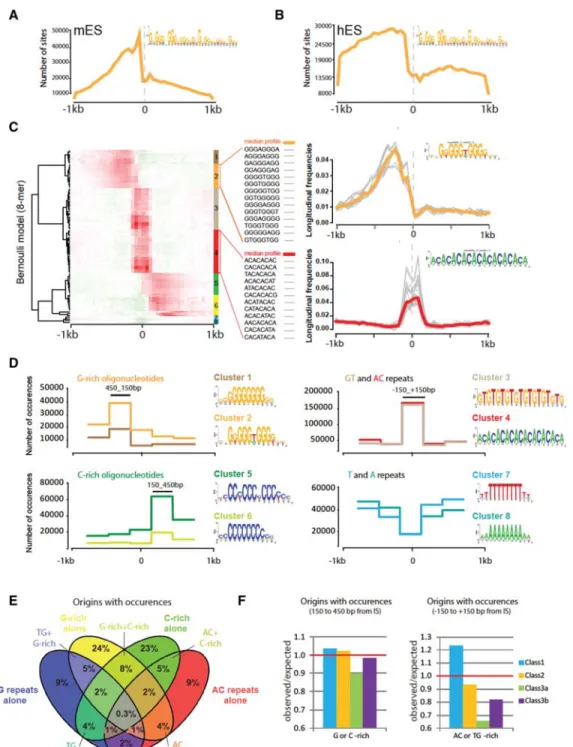 Figure 5. Sequence motifs at origins. (A,B) Distribution of OGRE sites around IS in mouse (A) and human (B) ES cells