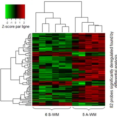 Figure 1: GEP identifies a signature that allows to differentiate A-WM from S-WM.  Gene expression data were normalized  using the Robust Multi-array Average (RMA) algorithm
