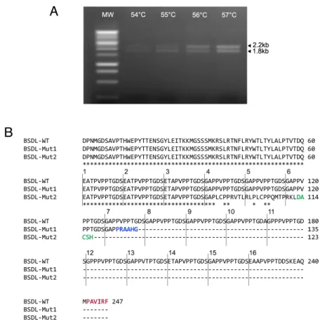 Figure 1: Genetic alterations within the DNA sequence of BSDL. A.  Sequences  encoding  BSDL  were  amplified  from  the  RNA extracted from pancreatic tumor SOJ-6 cells using RT-PCR and specific primers