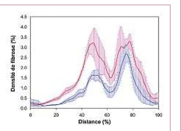 Figure E1 – Profil de densité SHG pour des souris contrôle (bleu, n = 3) et soumises à un traitement profibrosant (rose, n = 5), de l’extérieur vers l’intérieur du rein (voir flèche verte sur la figure 2)