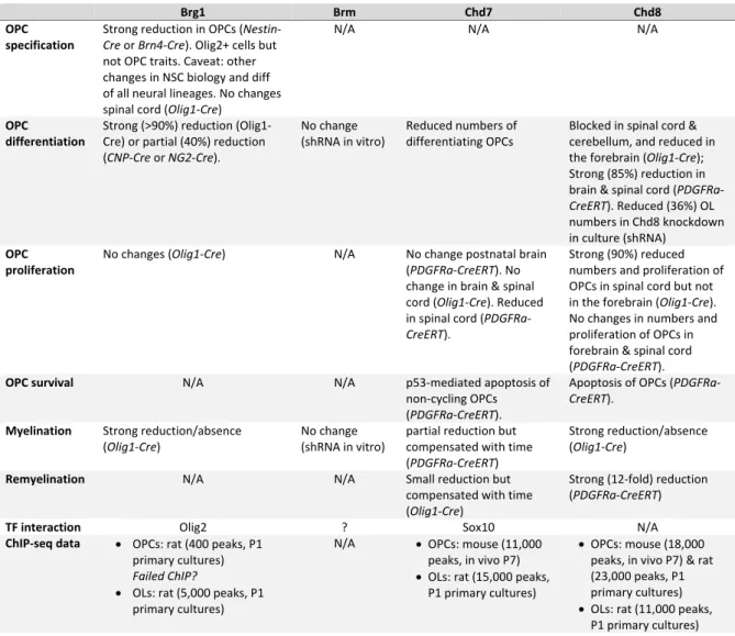 Table 1. Summary of chromatin remodelers requirement and binding in oligodendrogenesis      Brg1  Brm  Chd7  Chd8  OPC  specification  Strong reduction in OPCs (Nestin‐Cre or Brn4‐Cre). Olig2+ cells but  not OPC traits. Caveat: other  changes in NSC biolog