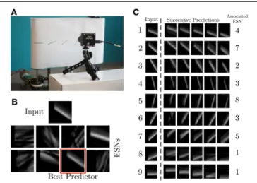 FIGURE 4 | Experimental recording setup. (A) A DVS records patterns moving on a treadmill