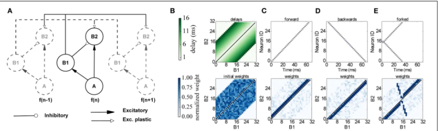 FIGURE 10 | Learning temporal patterns with the model by Coath et al.