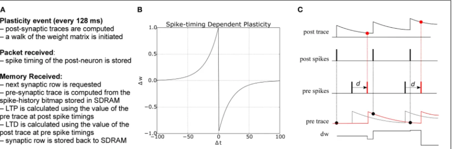 FIGURE 3 | (A) Algorithm for STDP learning implementation on the plastic core (B) STDP function (C) Implementation of pair-based STDP with local traces and delays, as suggested by Morrison et al