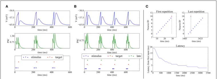 FIGURE 4 | Shift of post-synaptic firing onset via STDP. (A) Potentiation: The spike raster plot (bottom) shows that at the beginning of the stimulation 3 input spikes (blue) are needed to make the target neuron (red) fire; after 400ms, potentiation has ma