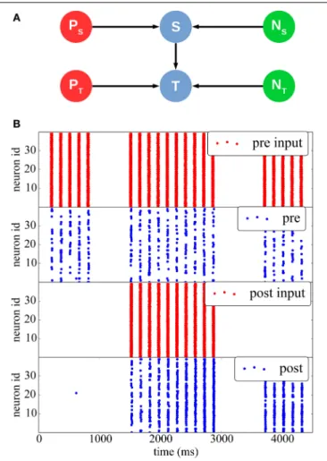 FIGURE 5 | STDP with a teacher signal. (A) Network structure: two different Poisson spike sources (red) are used as supervisor signals to individually stimulate the Stimulus (top) and Target (bottom) populations at different times (blue), which also receiv