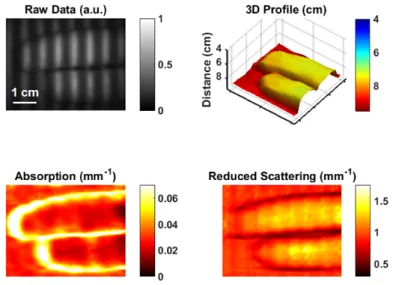 Figure 8 shows the in-vivo experiment with real-time acquisition of optical properties of a  hand in motion
