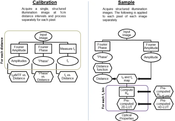 Fig. 1. A data flow schematic for calibration and sample processing using endoscopic SSOP