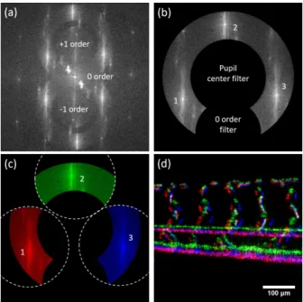 Figure 4: (a) Fourier transform of the off-axis holo- holo-gram. The bright spots inside the +1 and −1 orders correspond to the three illumination beams